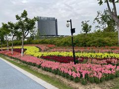 -春花秋色城市公园