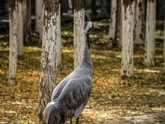 -艾溪湖湿地公园