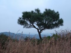 -东山风景区(洞庭东山)