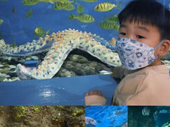 -大连圣亚海洋世界