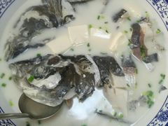 -全乐鱼馆·淳牌有机鱼直营店