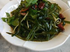 拌海带丝-贺秦生陕面王(富力城店)