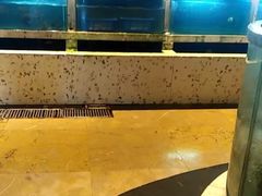 -老淳安—伴山伴湖(千岛湖开元度假村店)