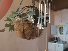-千古迷阵密室逃脱·剧本推理(成都旗舰店)
