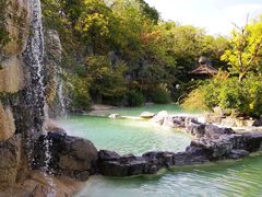 -吴淞炮台湾湿地森林公园烧烤区