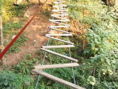 -梦幻奥陶纪景区