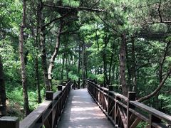 -沂蒙山旅游区龟蒙景区
