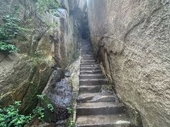 -鲁山国家森林公园