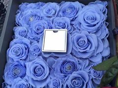 -ROSEONLY诺誓(青岛万象城店)