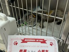 -御宝贝24h宠物医院·转诊中心·CT核磁血透中心(厦门总院)