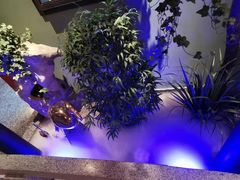 -红楼饭店(孙村店)