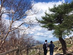 -灵山
