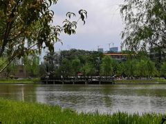 -西海子公园