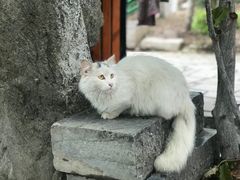 -莲湖公园