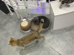 -极木²邸 人与宠物·互动社区
