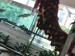 大堂-衡山汇·高级粤菜(霄云路店)