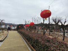 -泰山风景名胜区-虎山公园