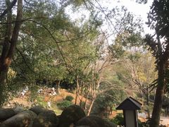 -三江森林温泉度假区