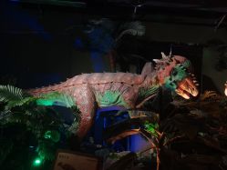 -恐龙探索乐园(磁器口店)