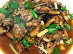 黄鳝-三千西子