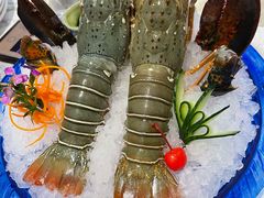 -半岛听涛蒸汽海鲜自助(K11店)