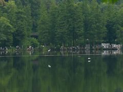 -重庆彩云湖湿地公园