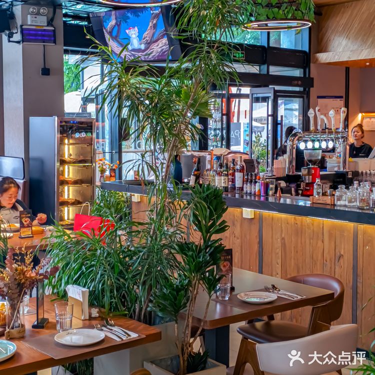 不在法国!北京浪漫白鸽🕊️广场超chill