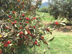 -陶祖圣境风景区