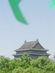 -青稚护手霜QINGZHI