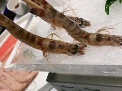 -红鼎豆捞·非遗鲍皇汤火锅(宝丰路店)