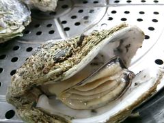 -蚝专家(北滘店)