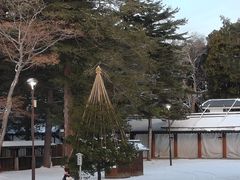 -北海道神宫