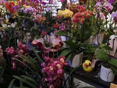 -婕妮璐超市 Jenny Lou’s Shop(三里屯店)