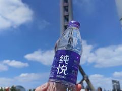 -东方明珠广播电视塔