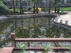-晶宝温泉农庄