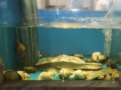 -太平洋PACIFIC SPA•奢睿水疗(万象城店)