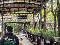 -海南槟榔谷黎苗文化旅游区