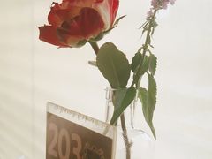 -一坐一忘云南菜(嘉里中心店)