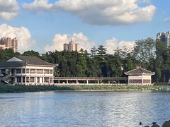 -荔湾湖公园
