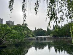 -塔子山公园