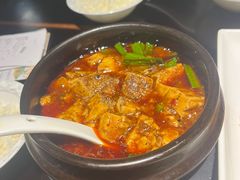 -陈麻婆豆腐总店