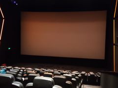 -奥斯卡升龙国际影城(RealD Cinema)