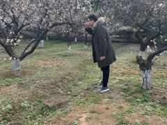 -白马涧龙池景区