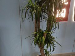 -銘悦阁烤鸭店