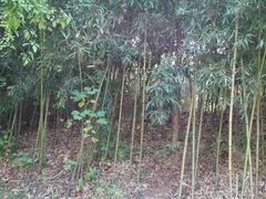 android_upload_pic-天目湖涵田度假村