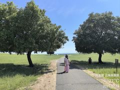 -五角枫生态旅游景区