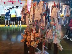 -长藤鬼校(龙翔店)