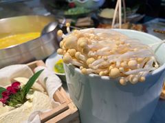 -澳美徕·港式花胶鸡火锅(高新万达店)