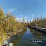 人们也是不惧寒冬，在这金色的花园里