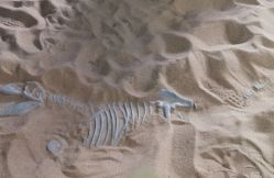 -恐龙探索乐园(磁器口店)